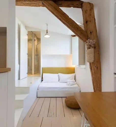 Apartmán Le Petit Amerval - Climatise *